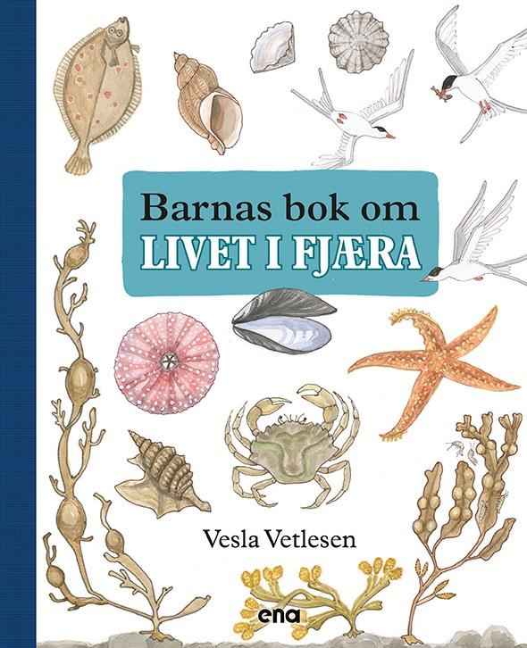 Barnas bok om livet i fjæra